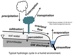 schematic of hydrologic cycle