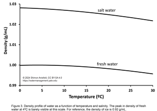 density of water