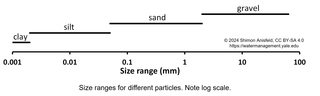 graph of particle sizes