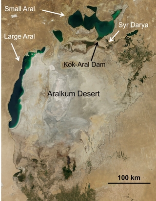 Satellite image of the Aral Sea on August 19, 2014, from NASA. 